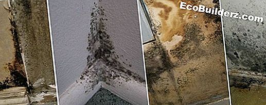 EPA og Mold Certification