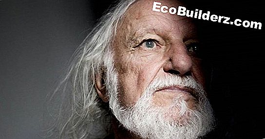 Tegn på termitter i møbler