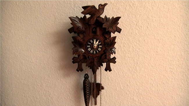 Black Forest Cuckoo Clock-instructies
