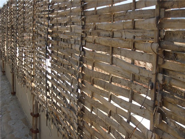 Bamboo Fence Care
