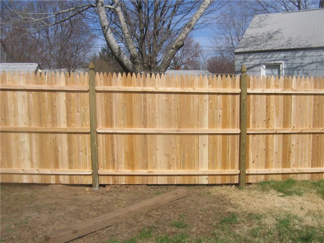 Cedar Fence Ideas
