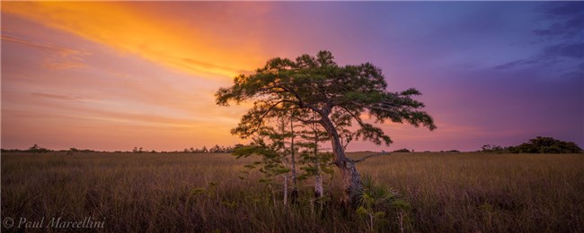 Florida Brandblusser Wetten