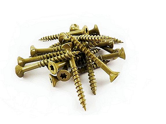 Torx Bit Styles & Sizing