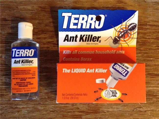 Is Indoor Ant Killer veilig voor huisdieren?