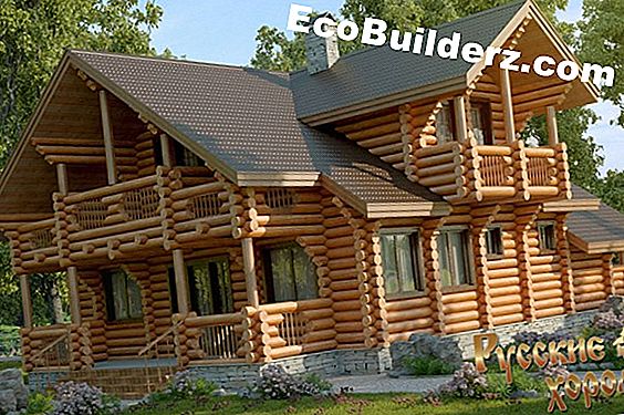 Termite Damage Repair Options