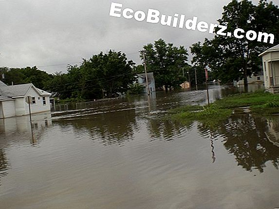 Pan Flood Errors su una lavastoviglie Viking