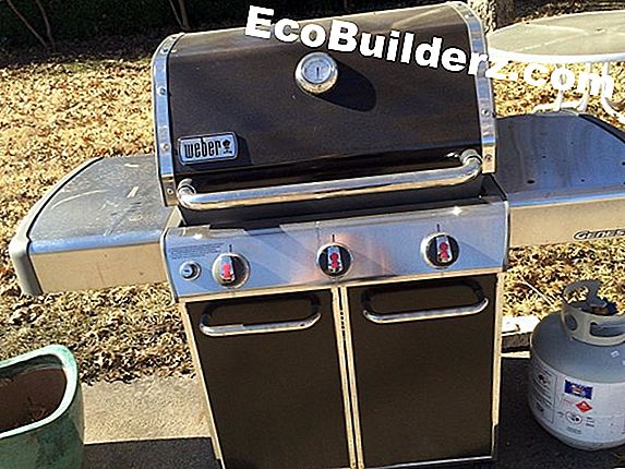 Weber Genesis Vs. Weber Ruhu