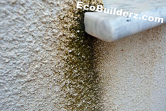 Entfernen Von Schimmel Aus Gewebe De Ecobuilderz Com