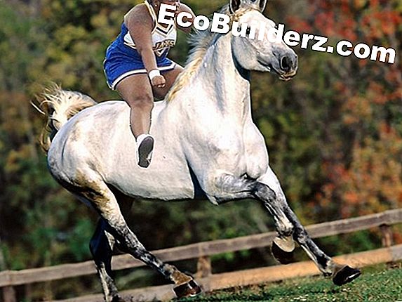 Schimmel in zoutwaterconditioner