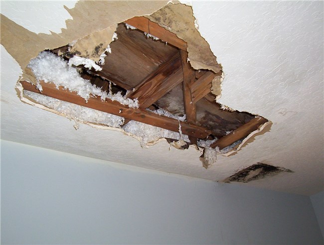 Do it Yourself: Dry Rot Repair op een camp-aanhangwagen