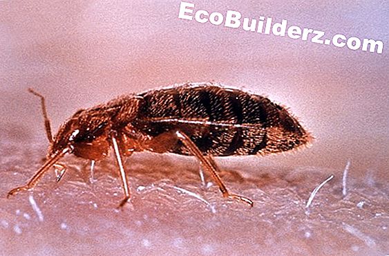 Aislamiento y eliminaci贸n de formaldeh铆do de urea