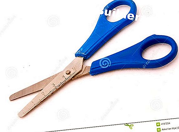 Los usos para las tijeras de cocina