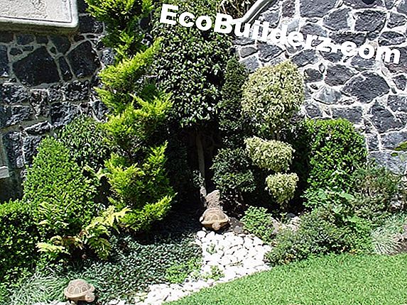 La forma en que la geometría se usa en jardinería