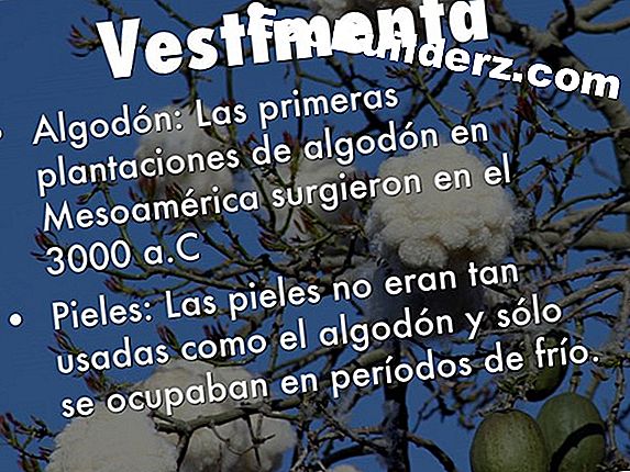 ¿Cuáles son los materiales de yeso necesarios para enlucir una pared?