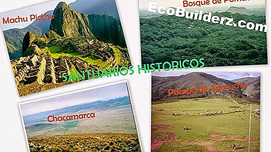 ¿Cuáles son los usos de una sierra transversal?