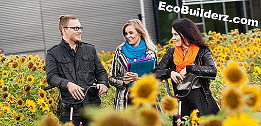 Koulutusasteen näyttäminen