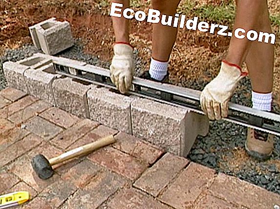 Hoe House Mold te voorkomen