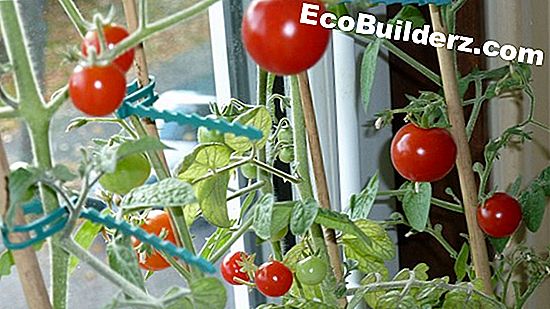 Hoe een koelkast voor aardbevingen te beveiligen