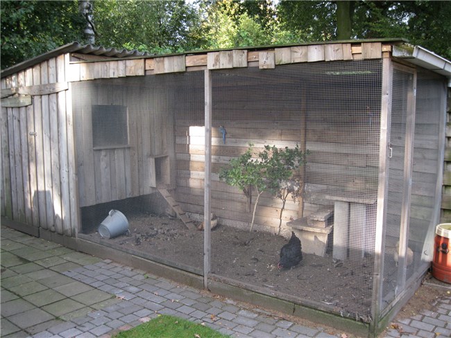 Hoe vogel kooi staat te bouwen