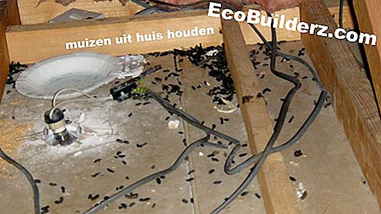 Hoe muizen te houden uit een Pole Barn