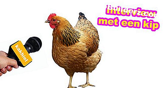 Hoe een Ruud AC-magneetschakelaar te vervangen
