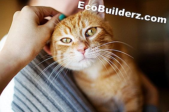 Hoe een schuifpuiendeur op de juiste manier te installeren