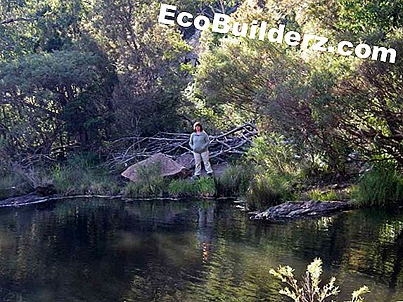Hoe vers water kreeft te verhogen