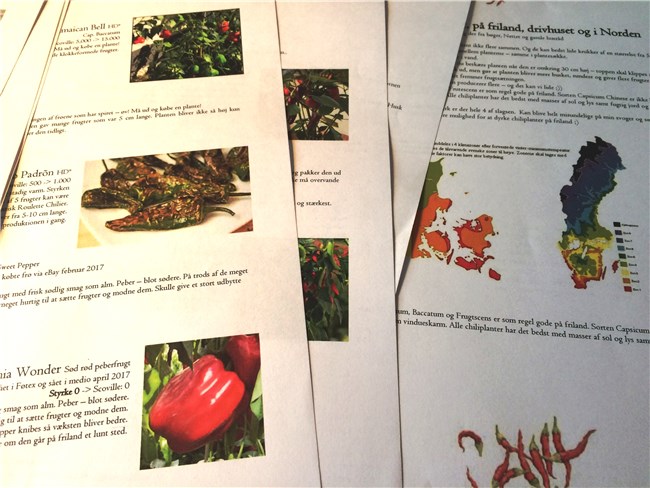 Kreative Midlertidige veggideer