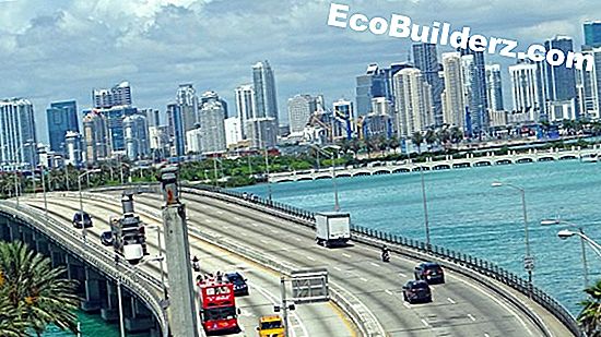 Miami, Florida örümcekler