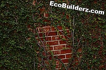 Ongekend Hoe een lelijke tuinmuur te verbergen - 2020 | EcoBuilderz.com RB-44