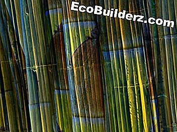 Cómo prevenir el moho en una valla de bambú al aire libre