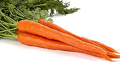 Verf: Hoe Carrot Juice Stains Van Carpet verwijderen