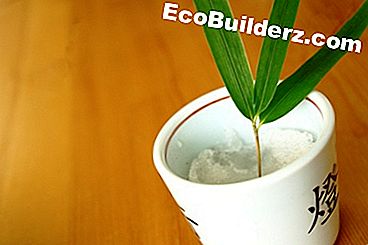 Verf: Hoe Bamboo Flooring te herstellen