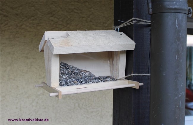 Wie man ein Vogelhaus für eine Amsel baut 2025