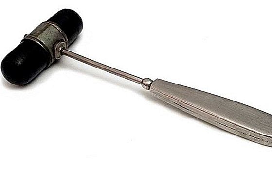 Carpintería: ¿Para qué se utiliza un martillo de yeso?