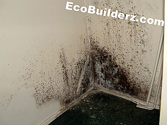 Pintar: Extracción de Mold Behind Wallpaper