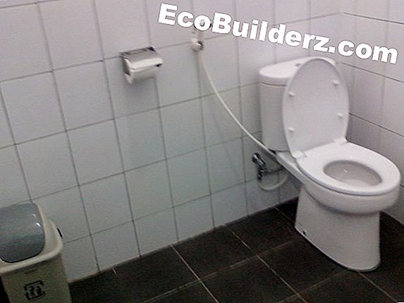 Cara Membersihkan Toilet Plunger
