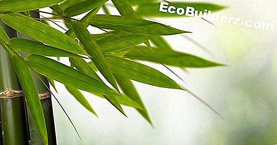 Timmerwerk: Hoe Bamboo Back Scratchers te maken