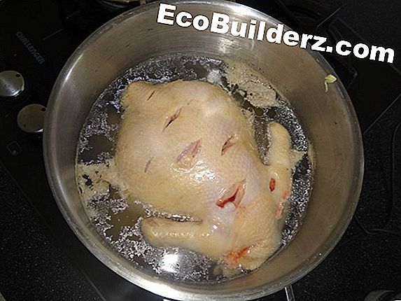 Loodgieterswerk: Tips voor het bereiden van een hele kip in een Slow Cooker